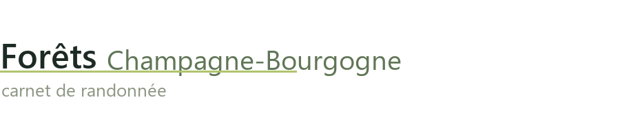 Forêts Champagne-Bourgogne