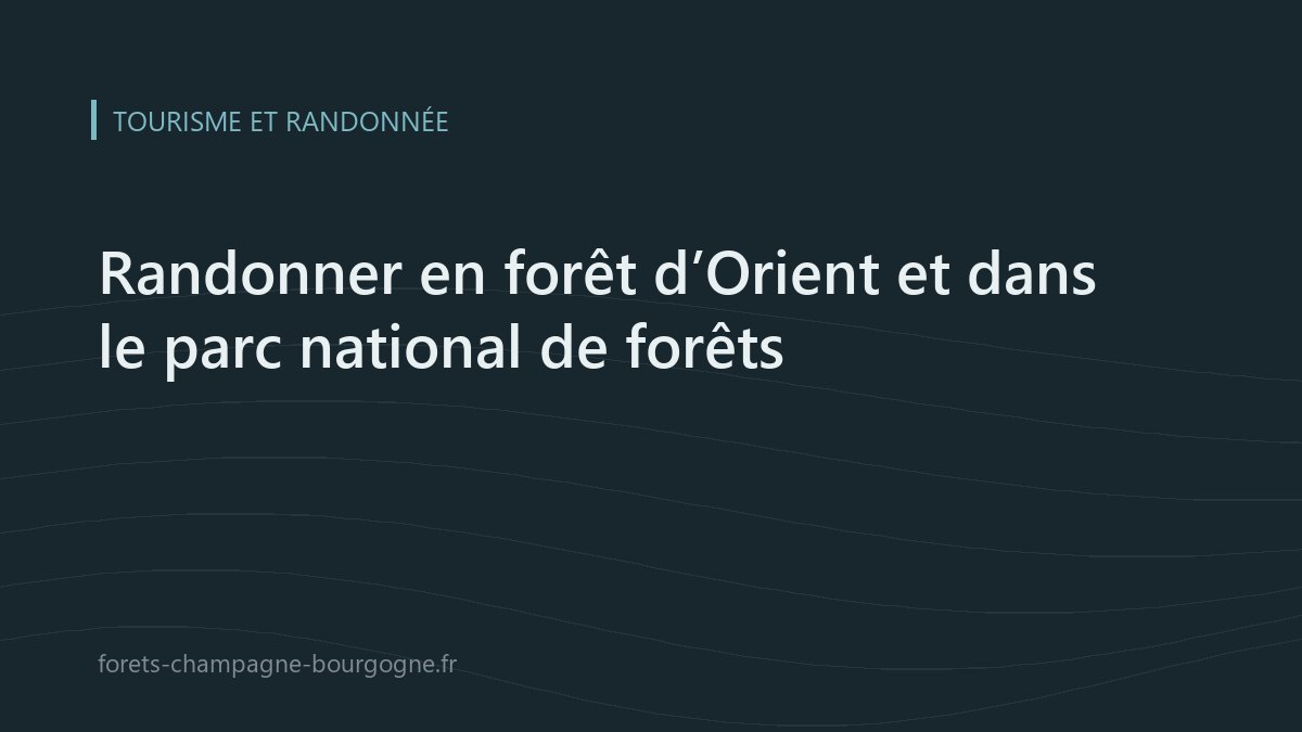 Illustration sur la randonnée en forêt d’Orient