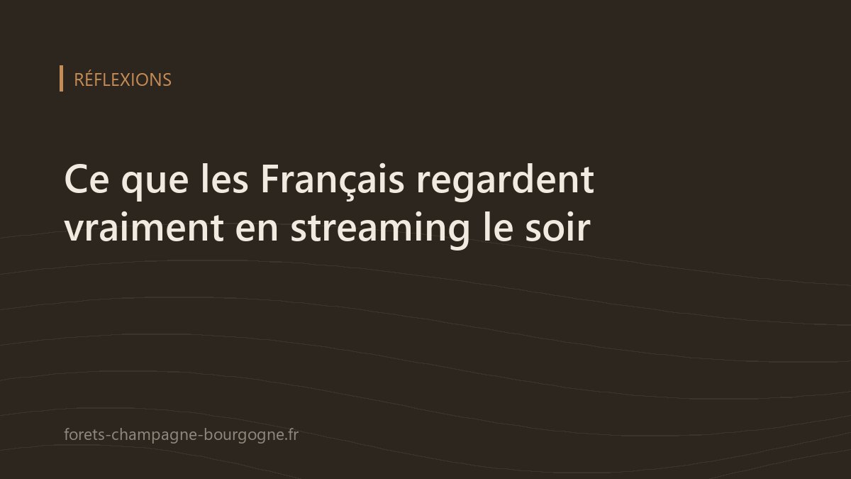 Illustration sur les usages du streaming