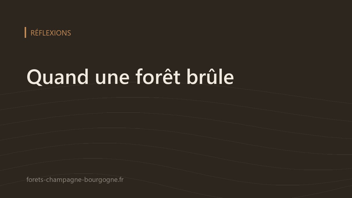 Illustration sur les incendies de forêt
